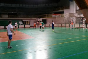 Handball Fidelis Andria