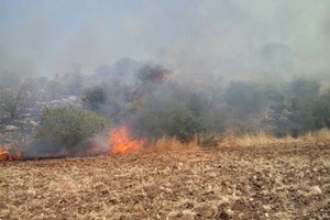 Incendio campagna di Minervino