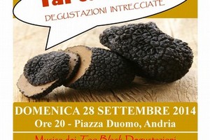 Locandina 6