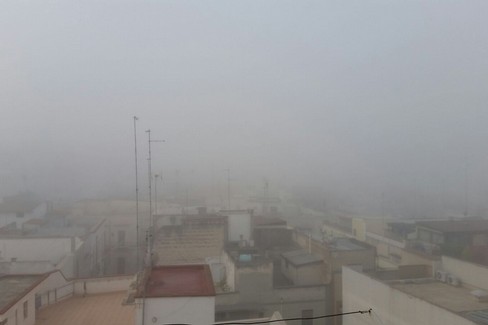 Nebbia Andria