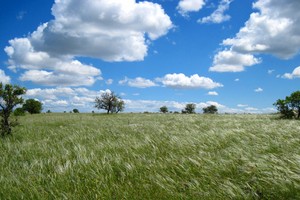 Parco alta murgia