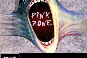 pink zone
