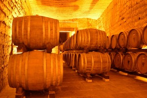 Cantina, botti di vino