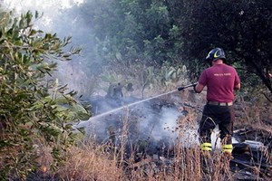 Vigili Fuoco 3