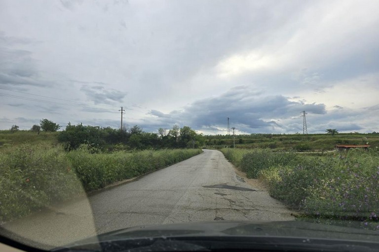 Emergenza xylella a Minervino Murge