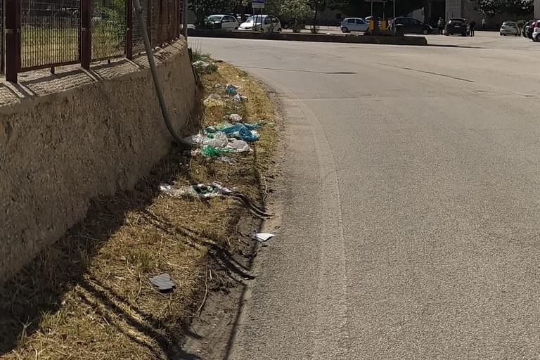 Tratto di strada provinciale invaso dai rifiuti