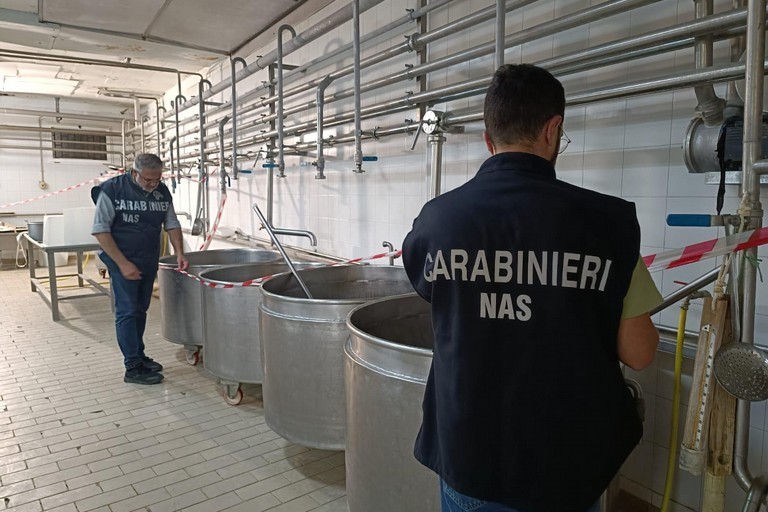 Carabinieri del NAS