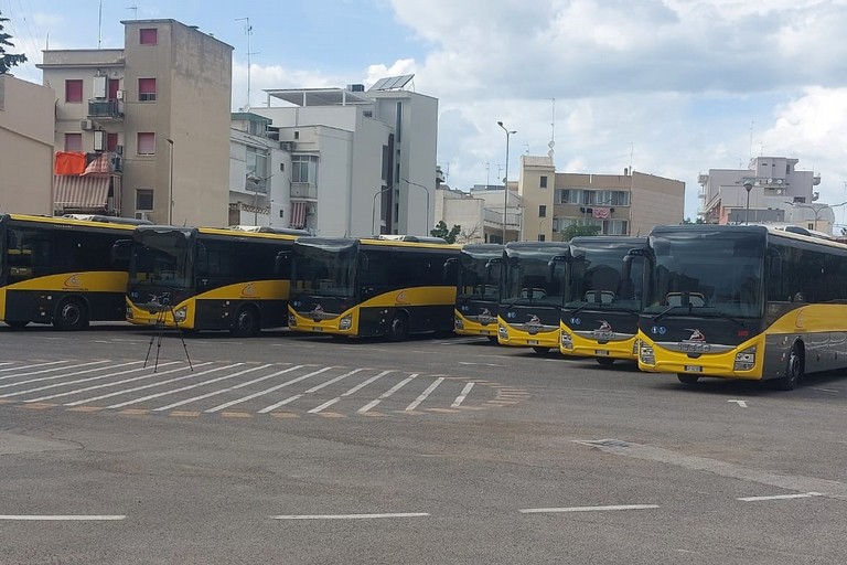 autobus di Ferrotramviaria