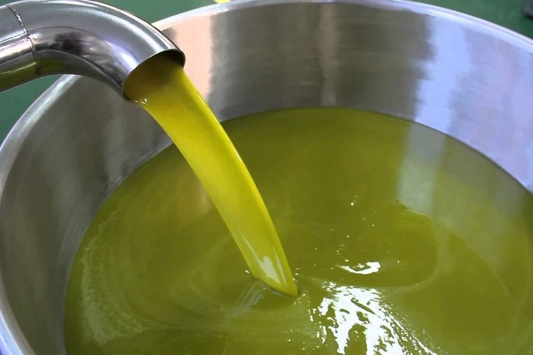 Campagna olivicola: “Primi passi in avanti sulla crisi dell’olio, continuiamo interlocuzione con Governo &nbsp;e Regioni”