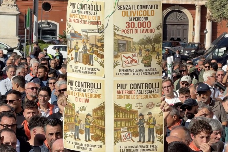 Orgoglio Olivicolo: "Da Madrid un esempio di operatività con uno strumento che traccia origine, movimenti e qualità dell’olio"
