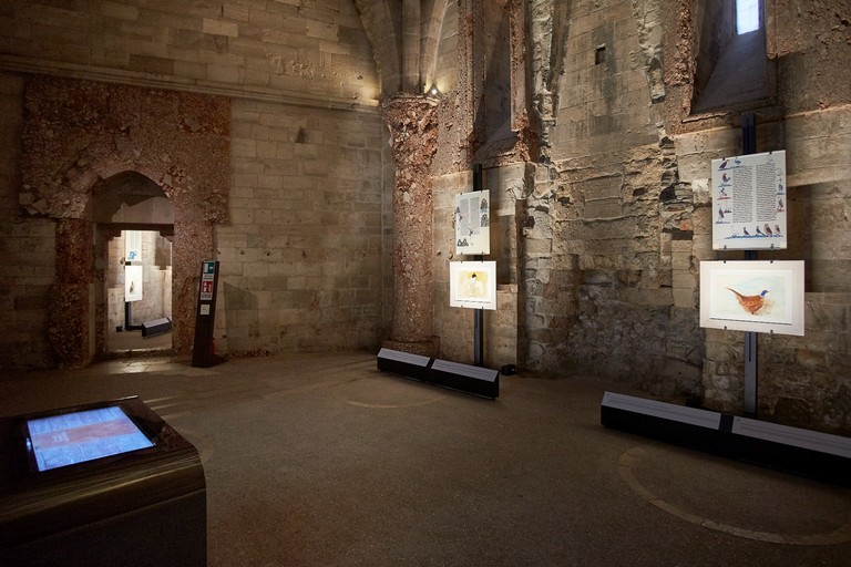 Mostra a Castel del Monte: “Il potere dell’armonia. Federico II e il De Arte venandi cum avibus”
