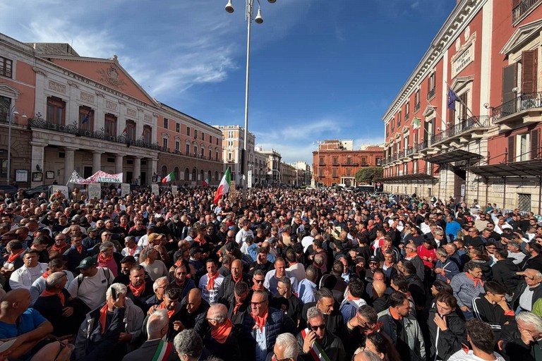 Copagri Puglia: "olivicoltura a rischio paralisi, subito tavolo di crisi e contributi su gasolio"