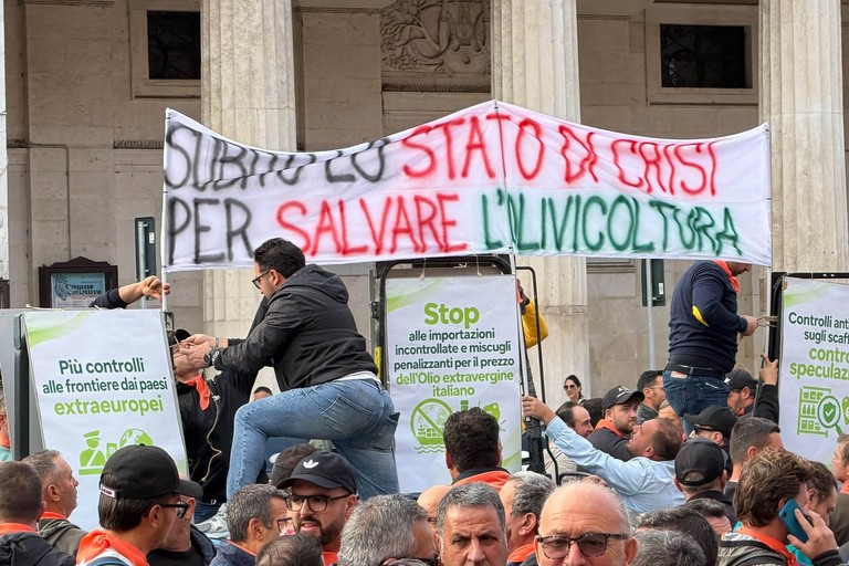 Orgoglio Olivicolo: “Nostre ragioni espresse con forza e compostezza. Ci prepariamo a manifestare nella Capitale”