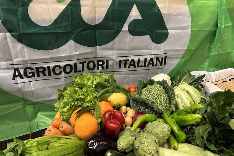 frutta ed ortaggi