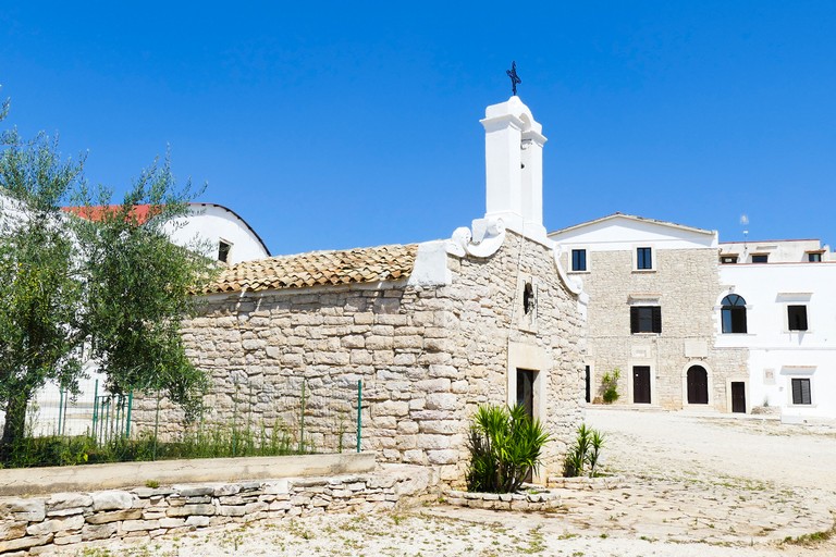 Estate  insieme alla Masseria San Vittore. <span>Foto Riccardo Di Pietro</span>