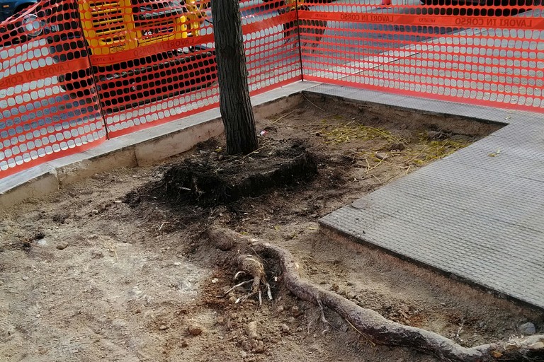 via padre Savarese