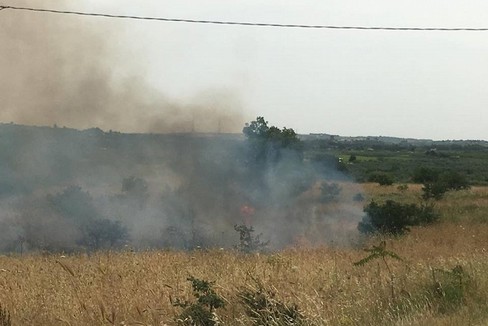 palese di sotto incendio