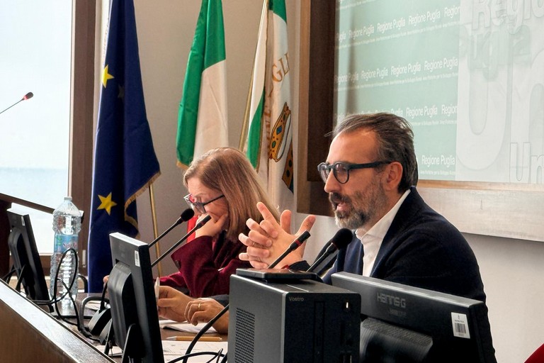 Assessore Paolicelli