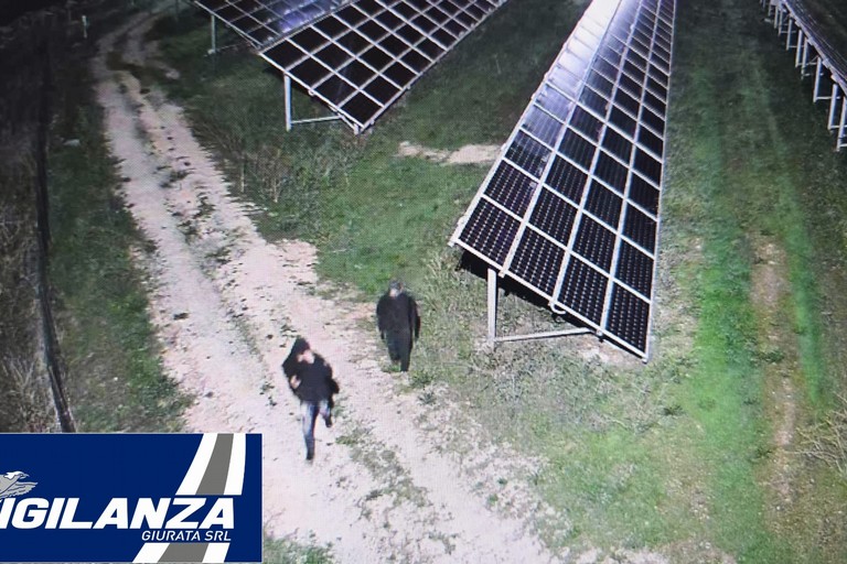 pannelli solari in un campo fotovoltaico