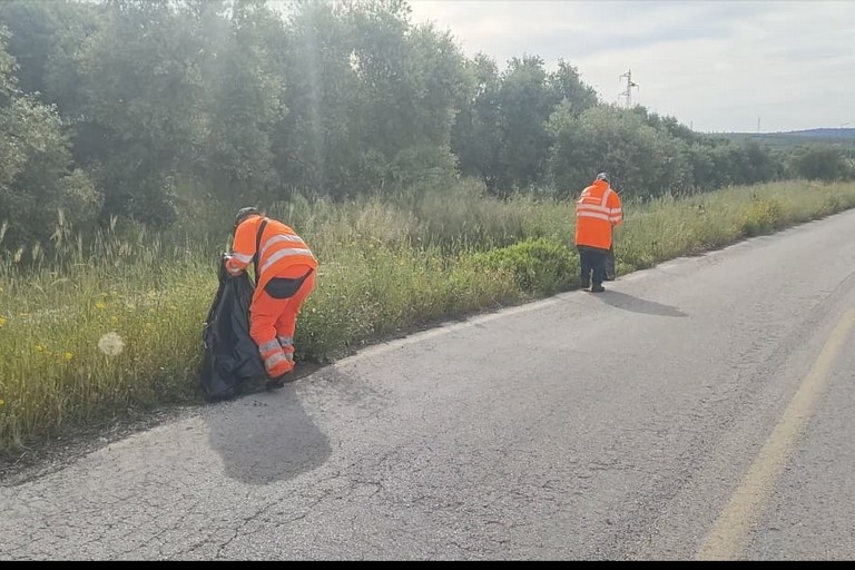 Volontari
