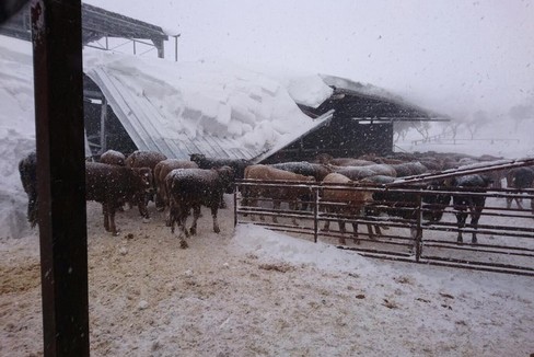 Neve in Puglia