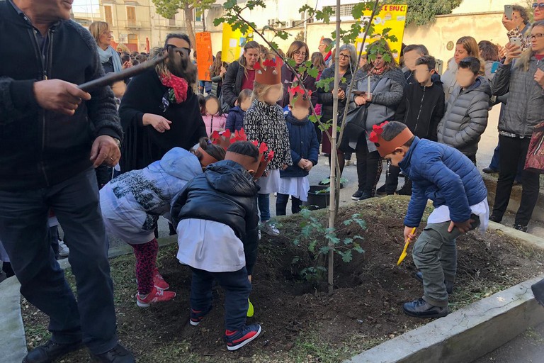 Festa dell'Albero appuntamento all’I. C. 'Don Bosco-Manzoni'