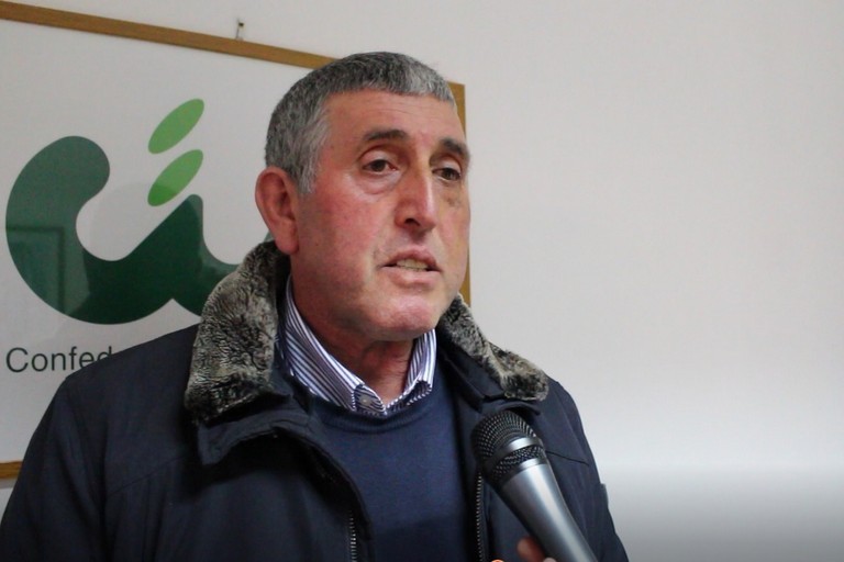 Perito Agrario Felice Ardito