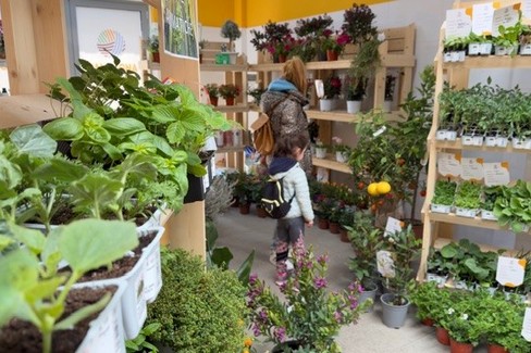 orto mania in Puglia tra giardini, balconi e soluzioni fai da te