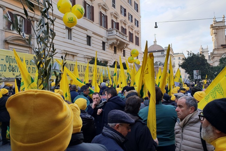 PROTESTA JPG