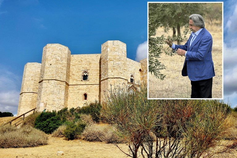 Castel del Monte nasce l’olio della Tenuta Riccardo Muti