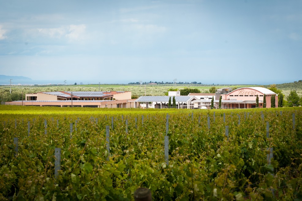 Azienda