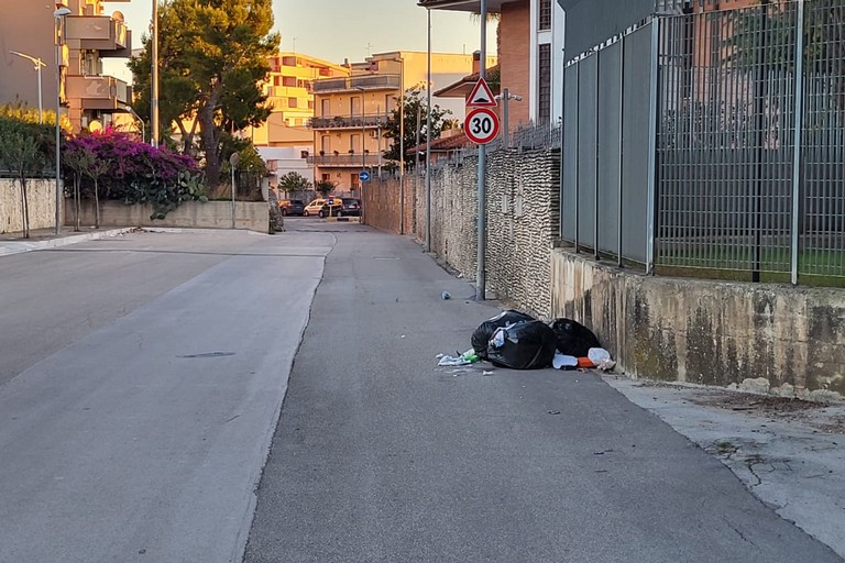 Abbandono dei rifiuti: continua il degrado in via Salvatore Liddo