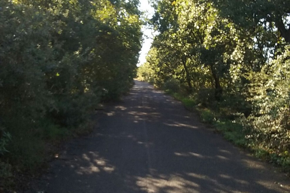 Strada comunale per San Leonardo