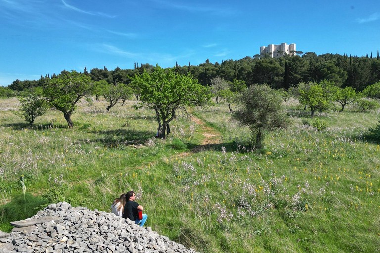 “Sarai la cura mia”: il panorama suggestivo di Castel del Monte nel singolo di Nico Liddo