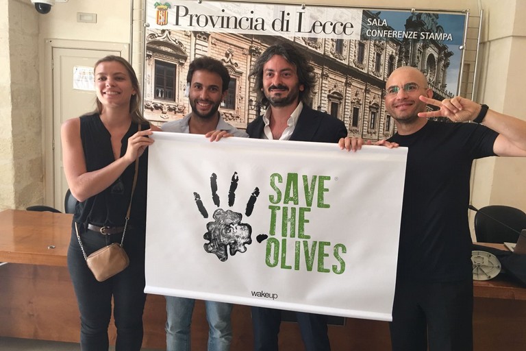 Save the olives