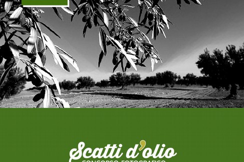 scatti d'olio