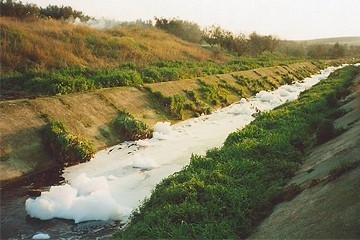 Schiuma Ciappetta Camaggio