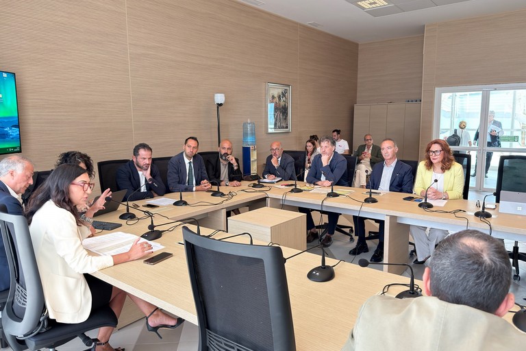 commissione sanità