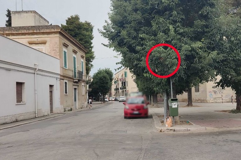 Segnale stradale di divieto di accesso a via Bruno Buozzi