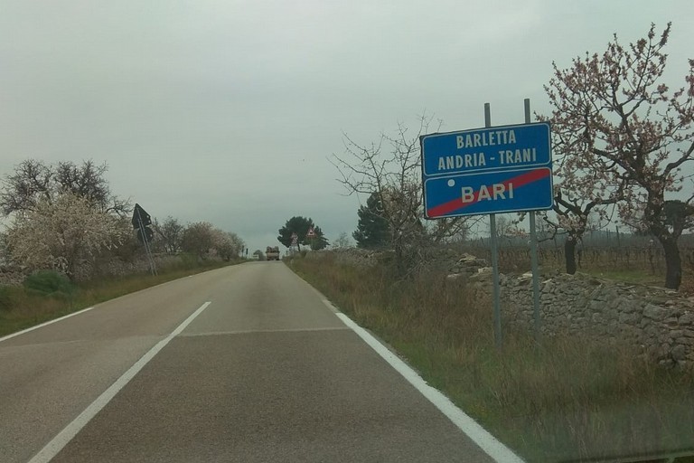 segnaletica orizzontale