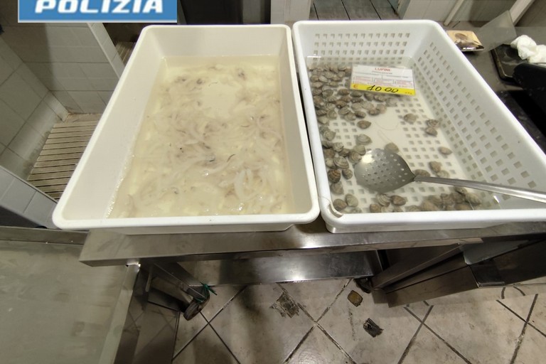 Sequestrati oltre 100 kg di pescato irregolare a Barletta e Andria