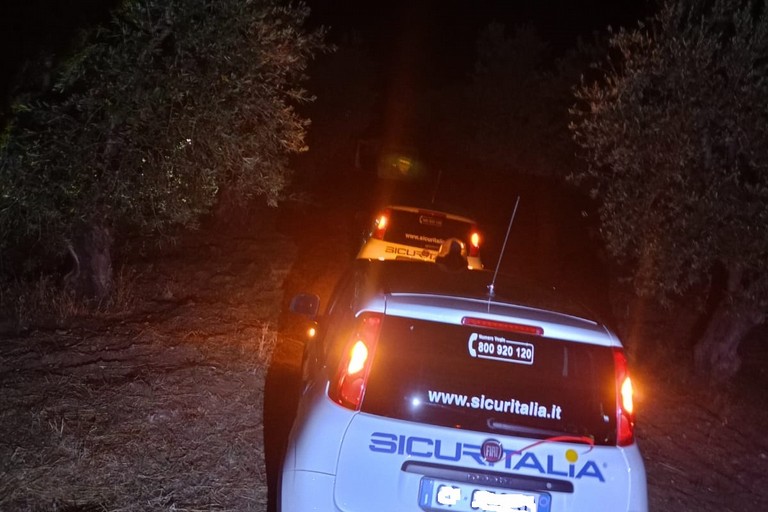 Fallisce colpo ad un concessionario di autovetture ad Andria