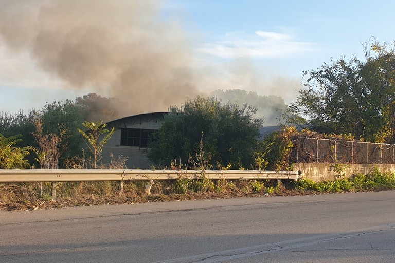 A fuoco capannone in via Vecchia Spinazzola