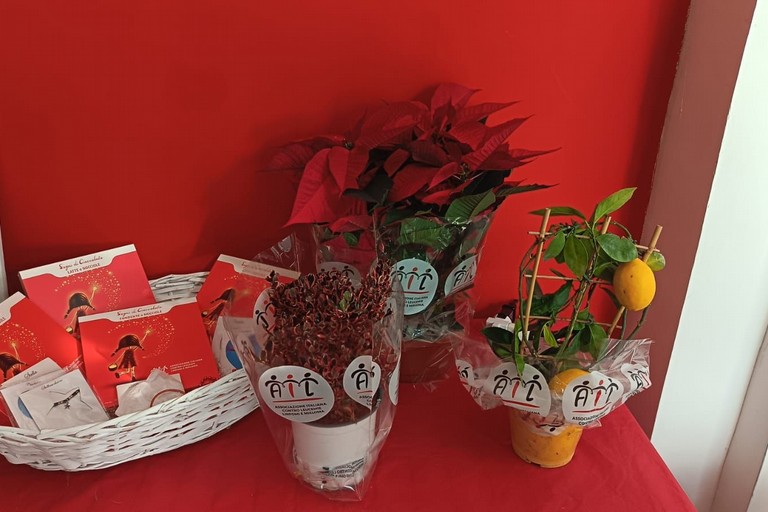 Tornano anche ad Andria le Stelle di Natale dell'AIL