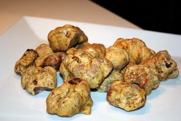 Tartufo di Andria