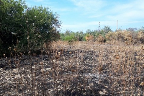 terreno bruciato dalla siccità