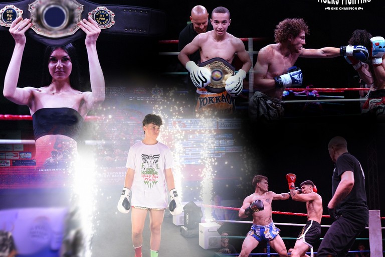 Tiger Fighting Champion