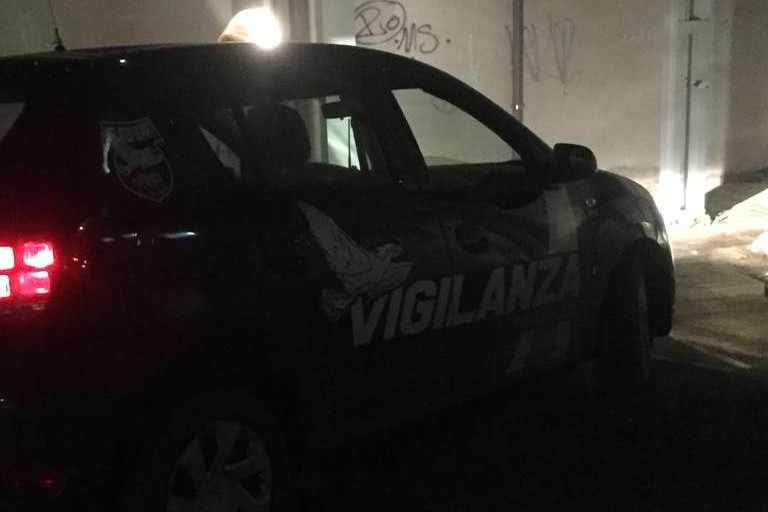 Vigilanza Giurata