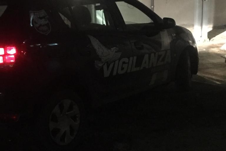 Vigilanza Giurata