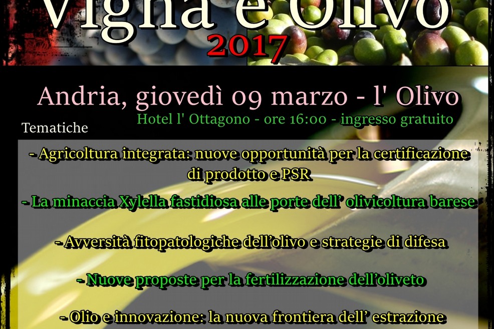 Vigna e Olivo Andria marzo Olivo tematiche